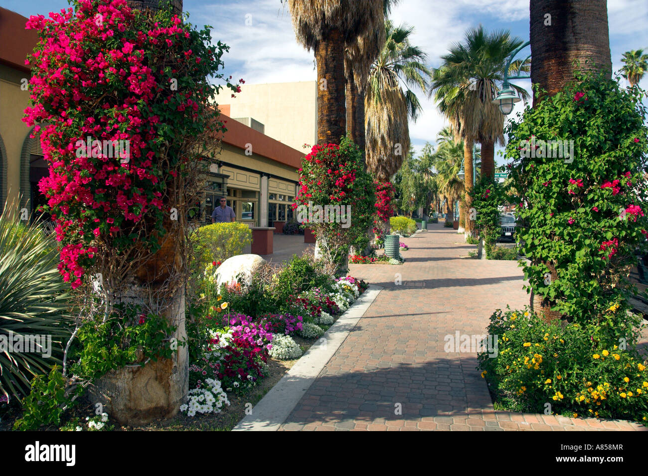 Shops and stores along East Palm Canyon Drive in Palm Springs
