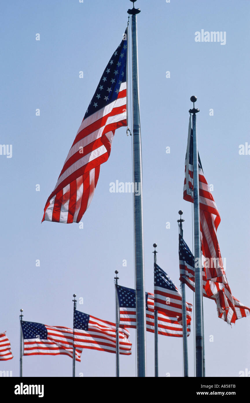 United States of America. Washington DC. American flags on flagpoles. Stock Photo