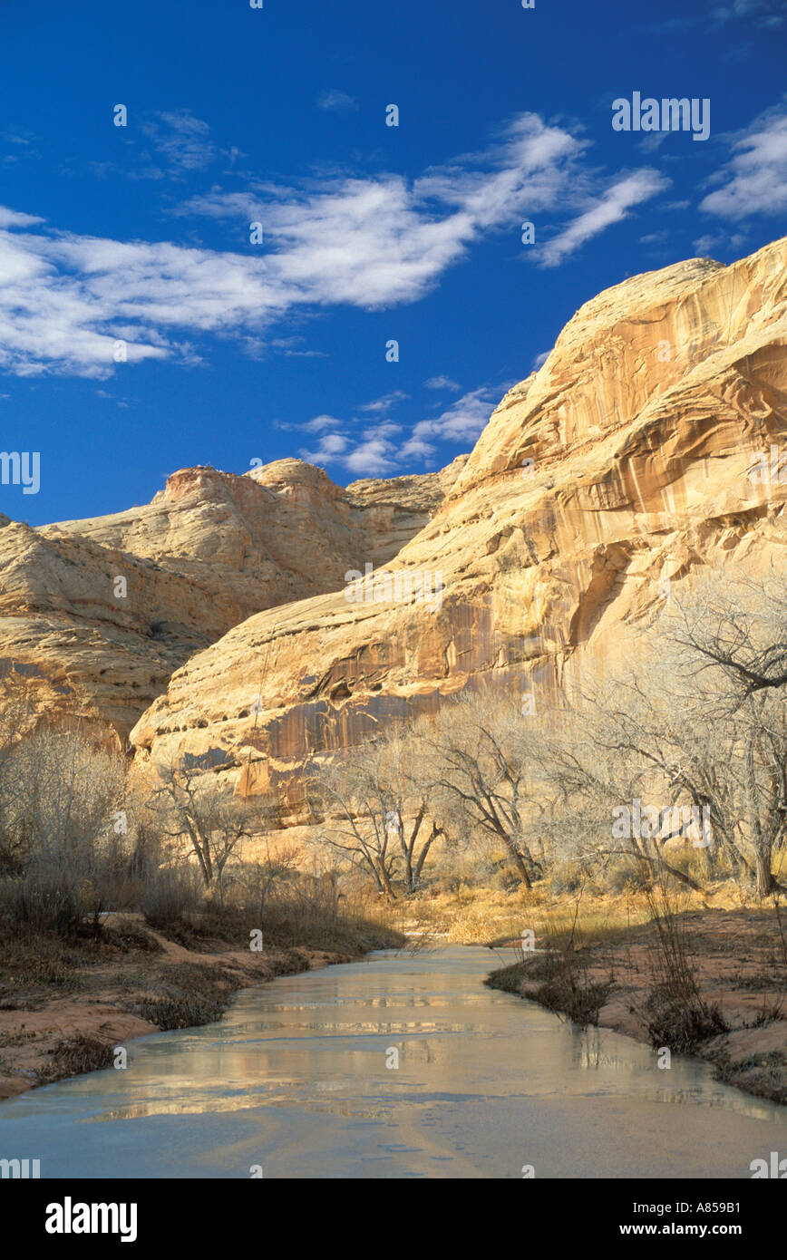 Frozen river Barrier Creek Horseshoe Canyon Unit Maze District Canyonlands National Park Utah