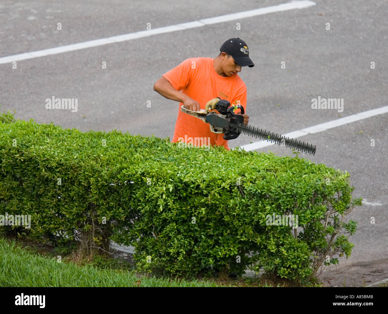 Trimmin/' Some Bush