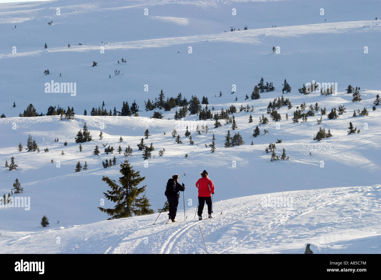 Cross country skiers, Norway Stock Photo Alamy