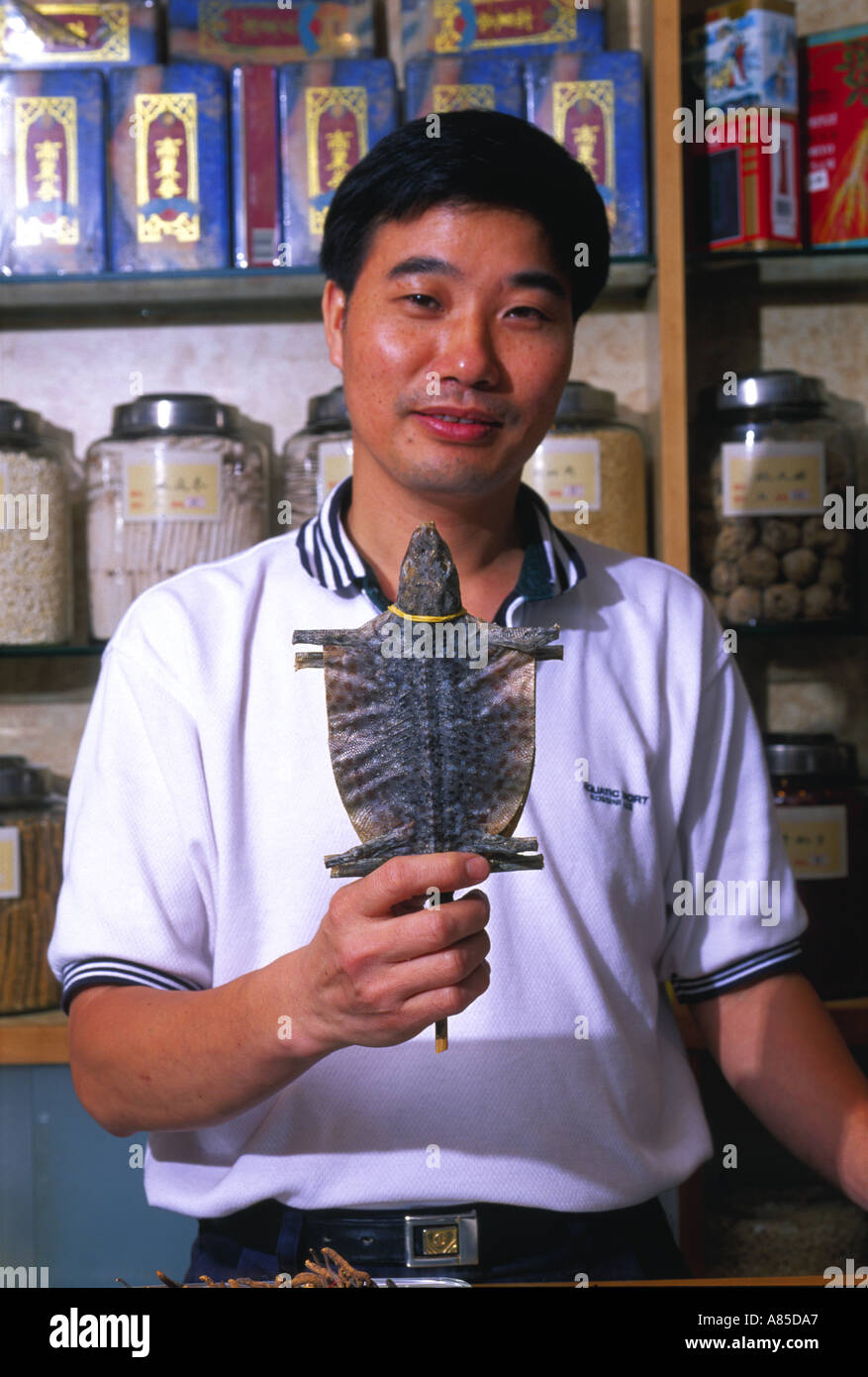 A Druggist holding chinese animal medicine dried toad Central district