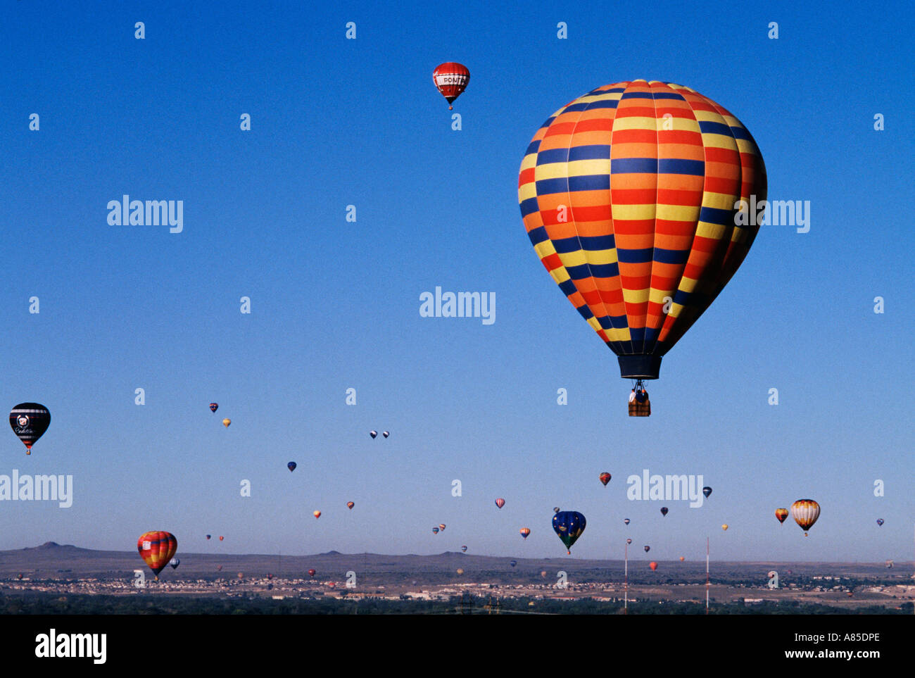 NM Albuquerque Balloon Fiesta Festival Hot air balloons rising in the morning sky Stock Photo