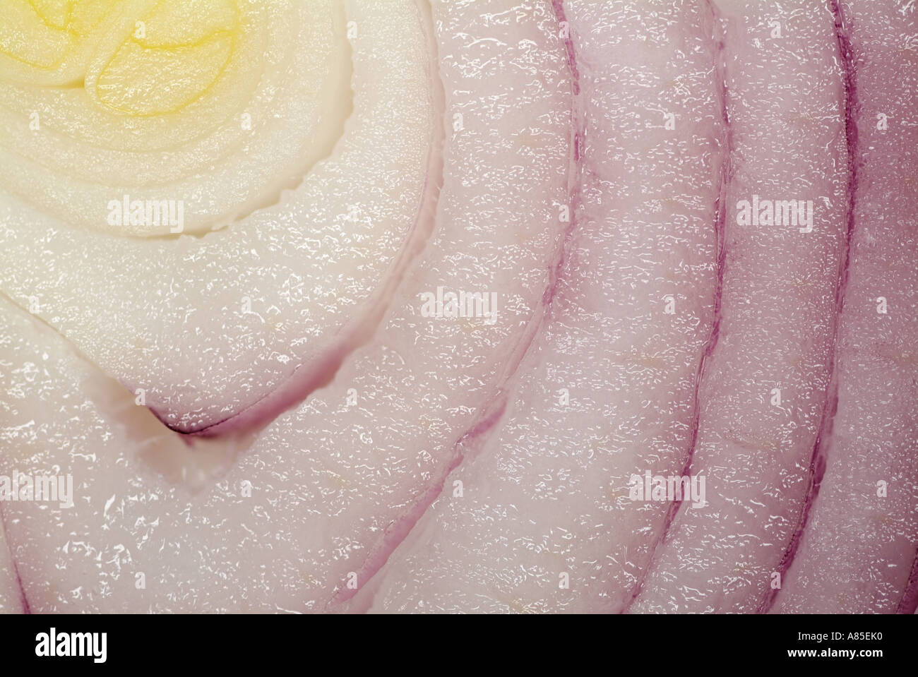 Sliced Italian Red Onion Prepared Ready for Cooking Stock Photo