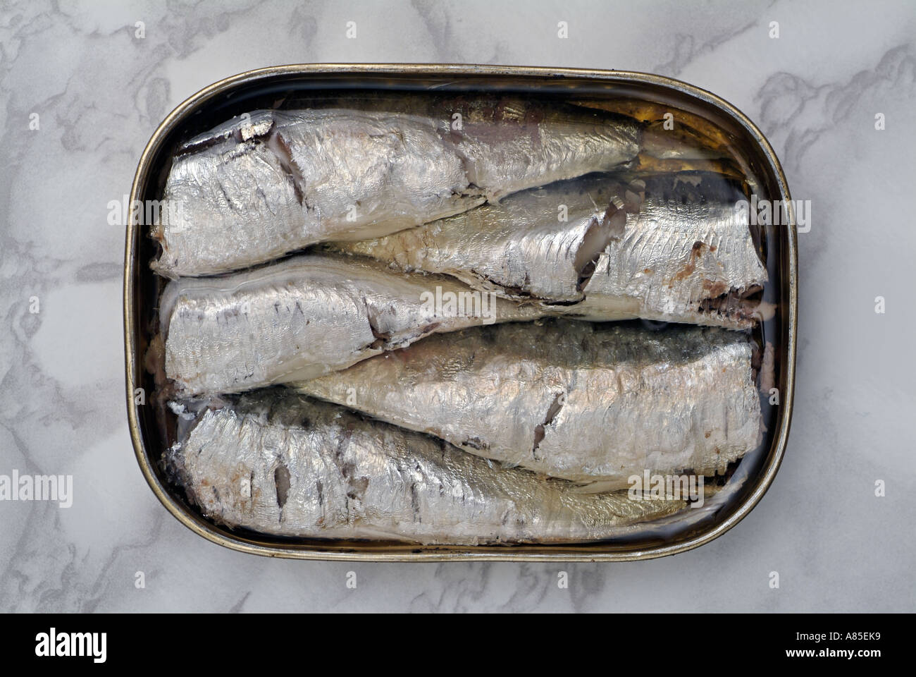 Open Tin of Sardines on a Kitchen Work Surface Stock Photo