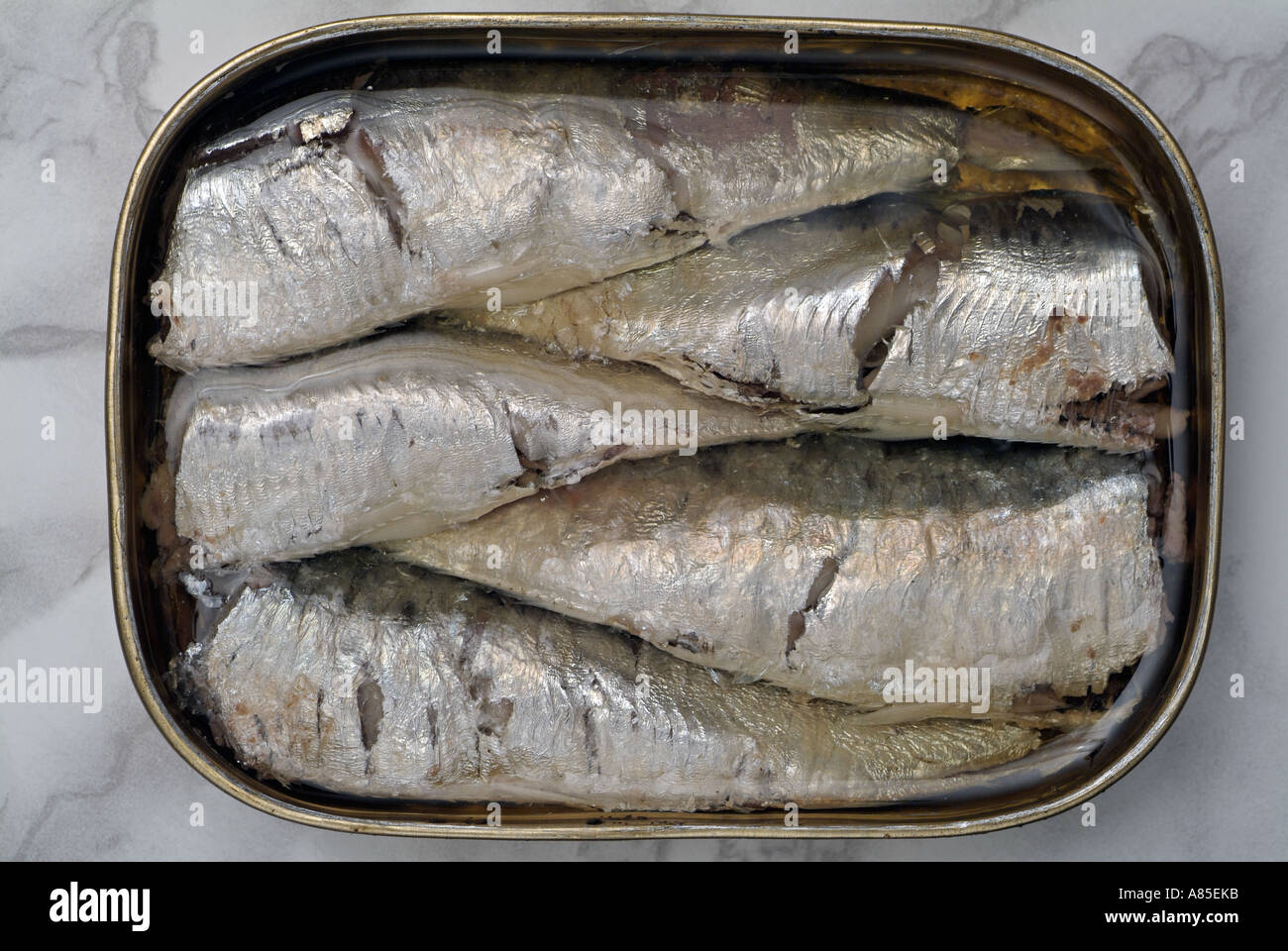 Open Tin Of Sardines Stock Photo - Alamy