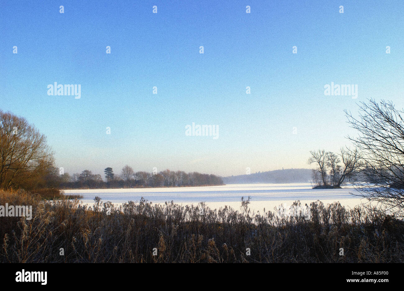 frozen lake at castle howard north yorkshire uk Stock Photo
