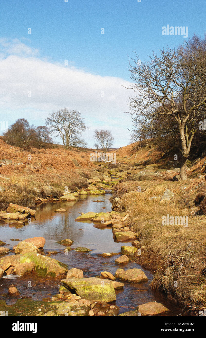 Stream North Yorkshire Moors Stock Photo