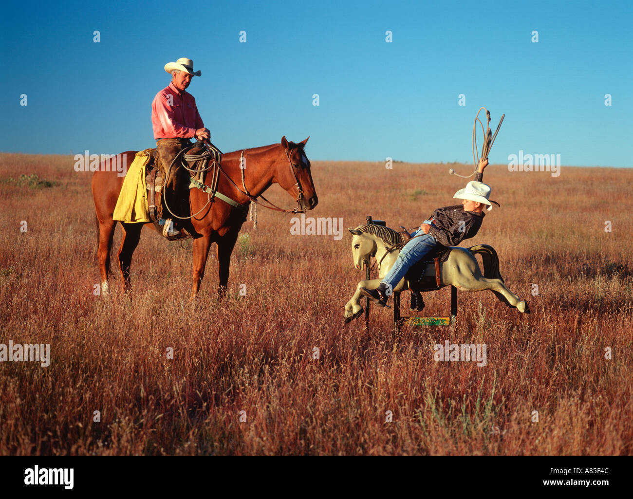 electric horse ride on