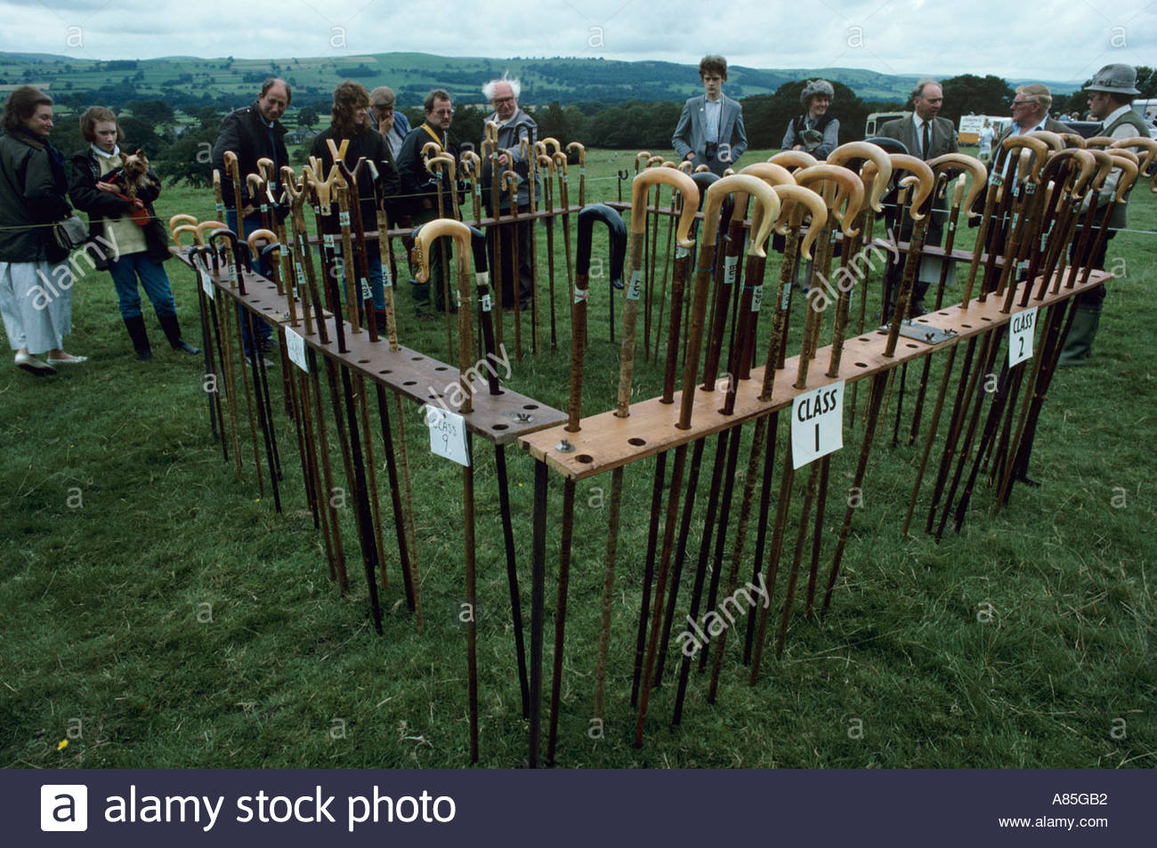 Shepherd Crook High Resolution Stock Photography and Images - Alamy