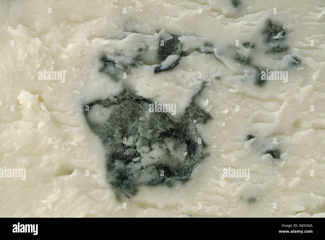 Bleu Auvergne Cheese, Close Up Stock Photo