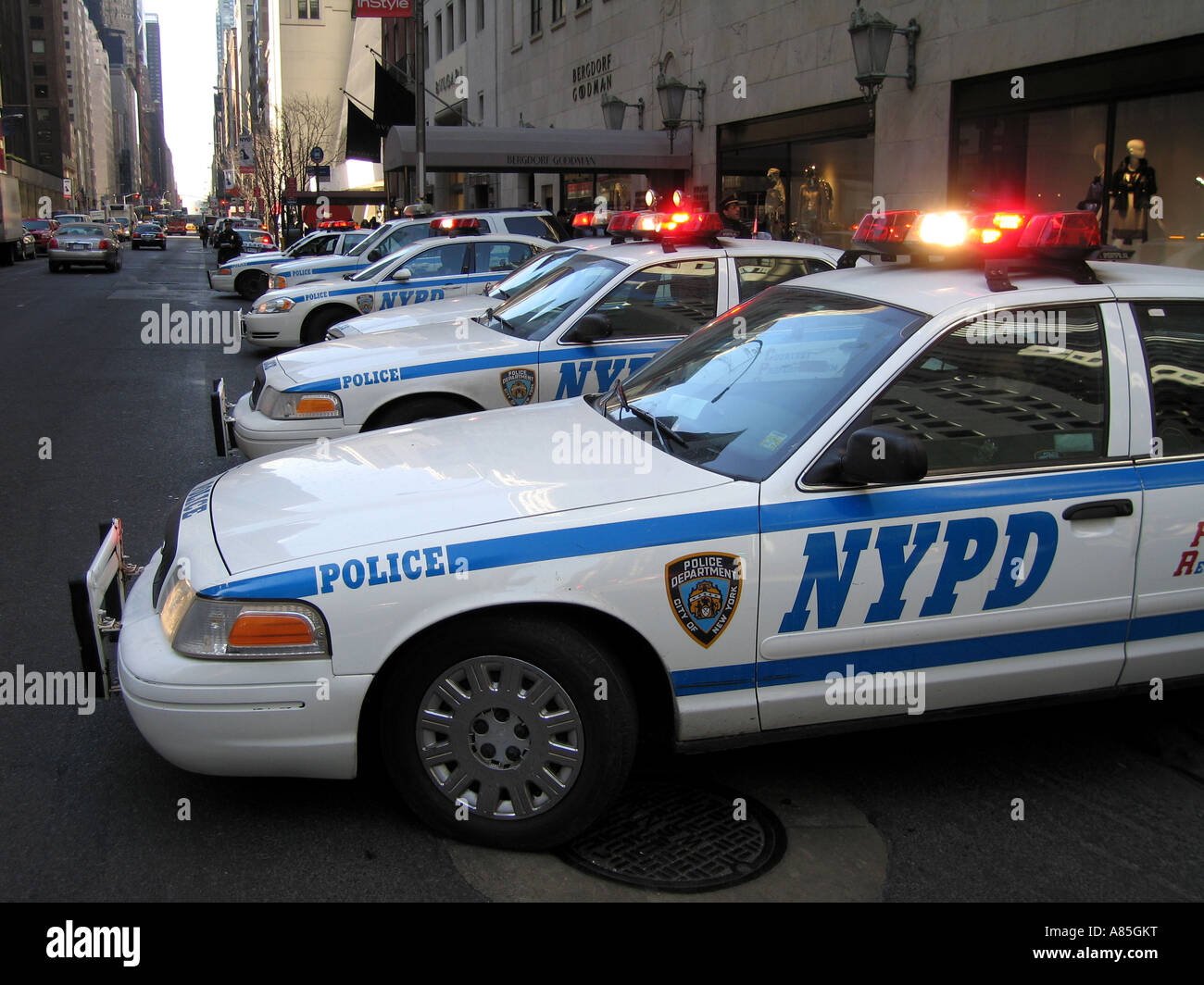 Police patrol cars with flashing lights on fifth avenue, New York, America USA Stock Photo