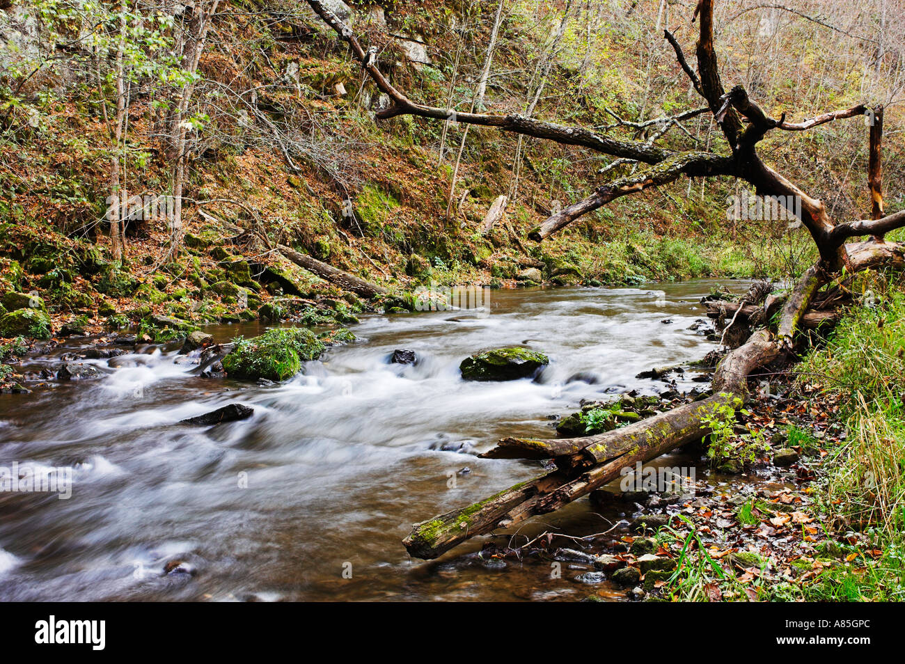 Stream and moss covered rocks in Whitewater State Park near Elba, Minnesota, USA Stock Photo