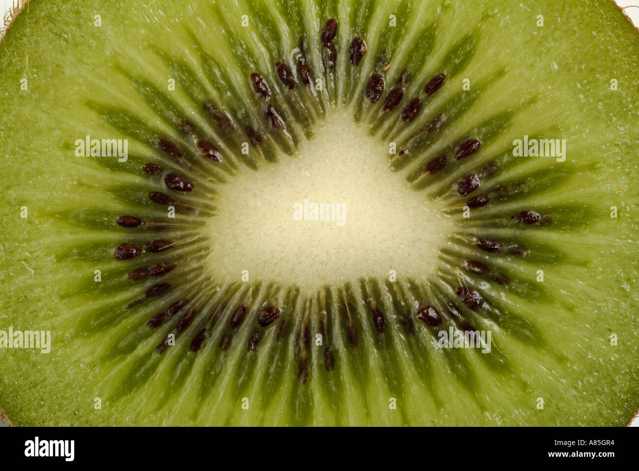 Kiwi Fruit Close Up Stock Photo