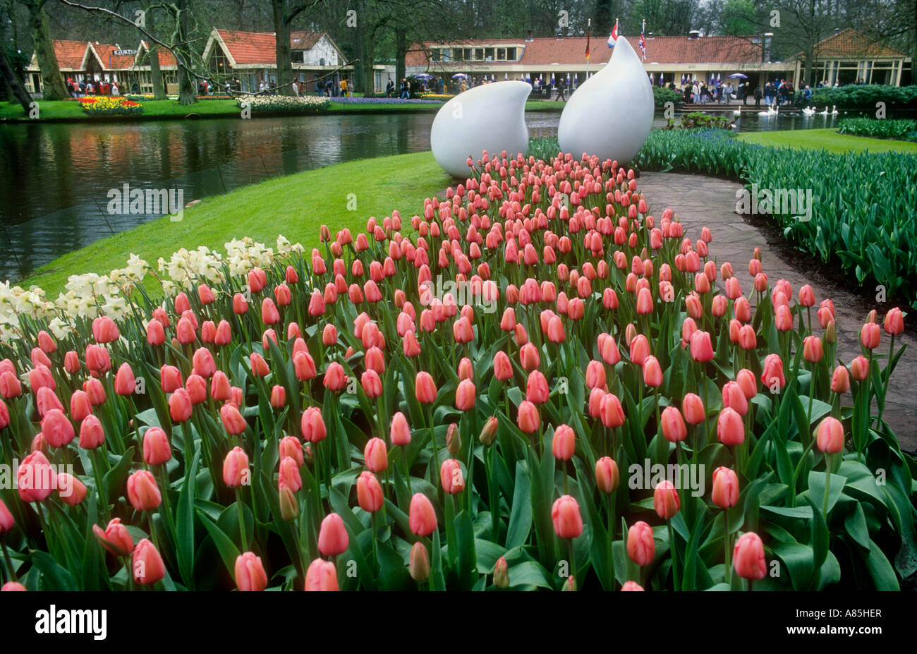 TULIPS FIELDS IN KEUKENHOF GARDENS HOLLAND Stock Photo - Alamy