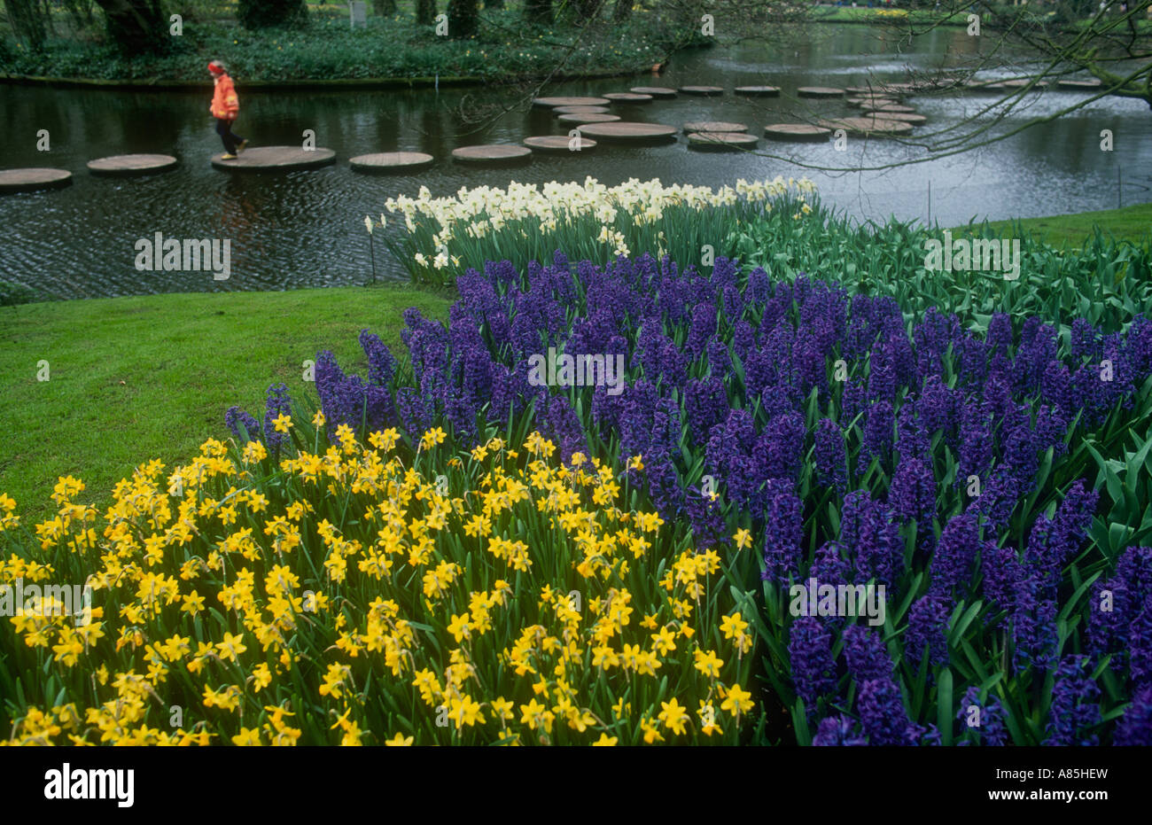 TULIPS IN KEUKENHOF GARDENS HOLLAND Stock Photo - Alamy