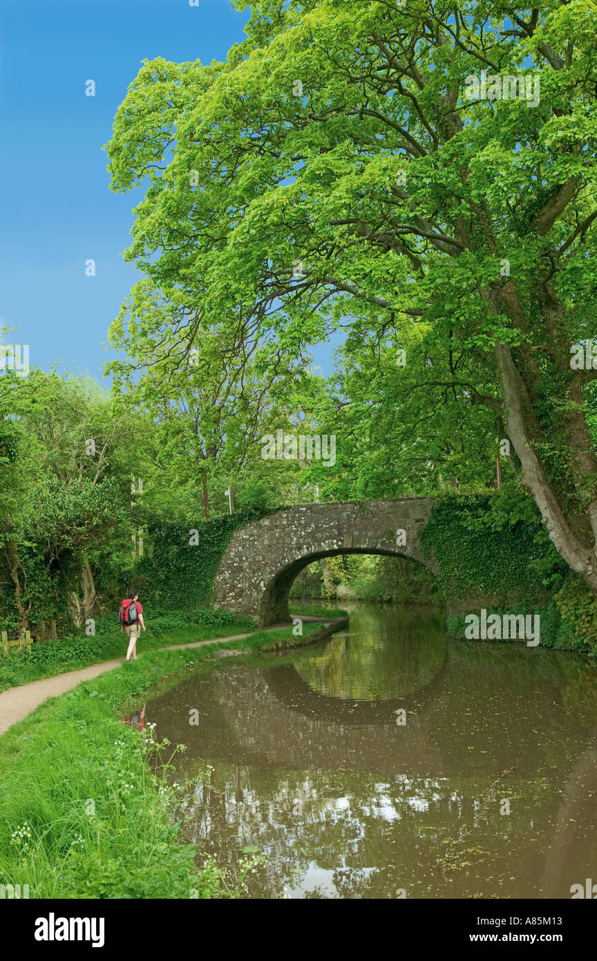 Shaded path on canal towpath hi-res stock photography and images - Alamy