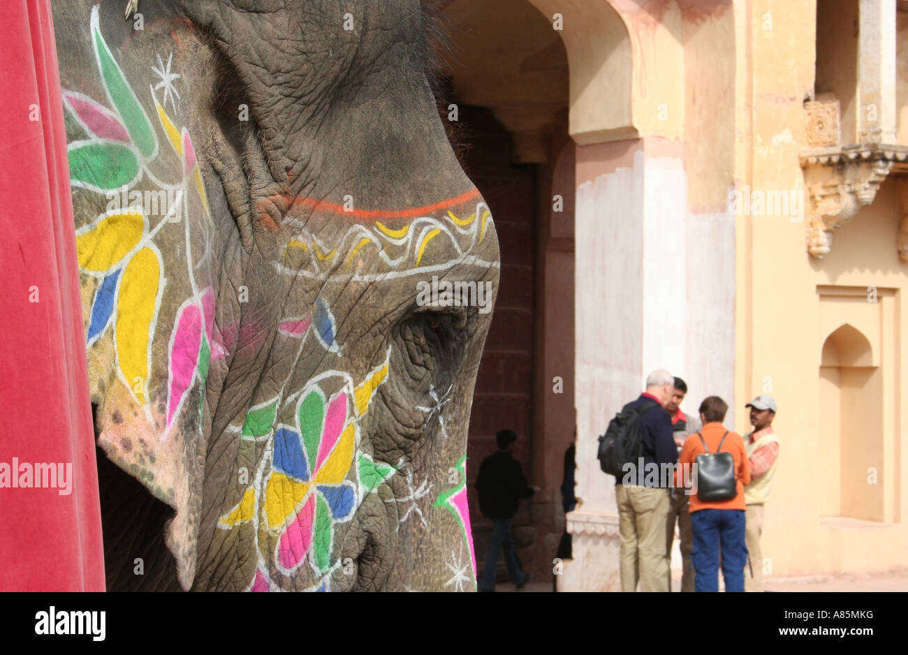 A painted elephant inside the grounds of Amber palace, Jaipur, Rajasthan, India. Stock Photo