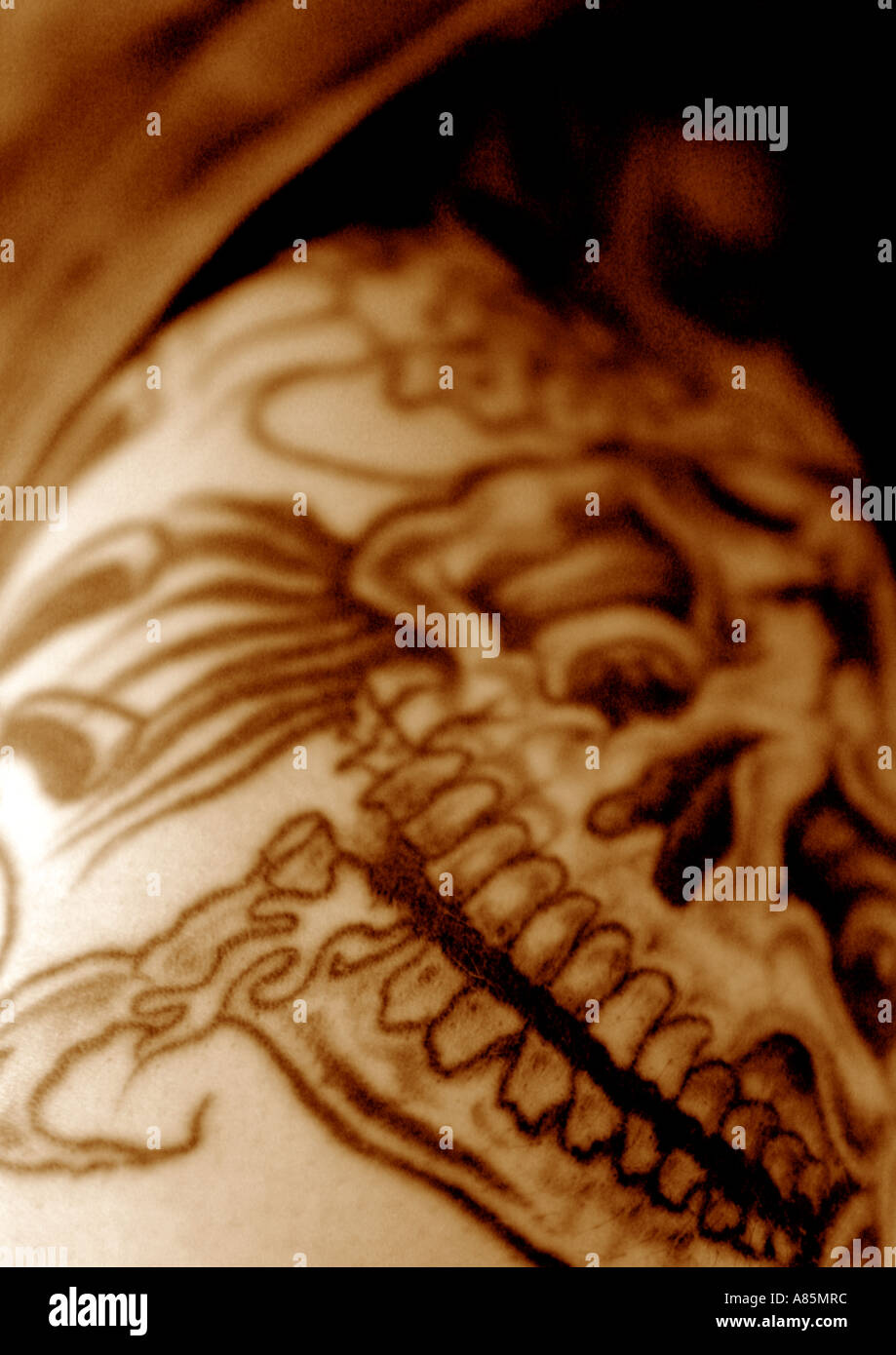 Skull Tattoo on Arm Stock Photo
