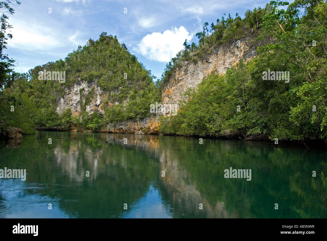 Lush green mangrove forest and limestone coastline of Gam Island, Raja Ampat Indonesia. Stock Photo