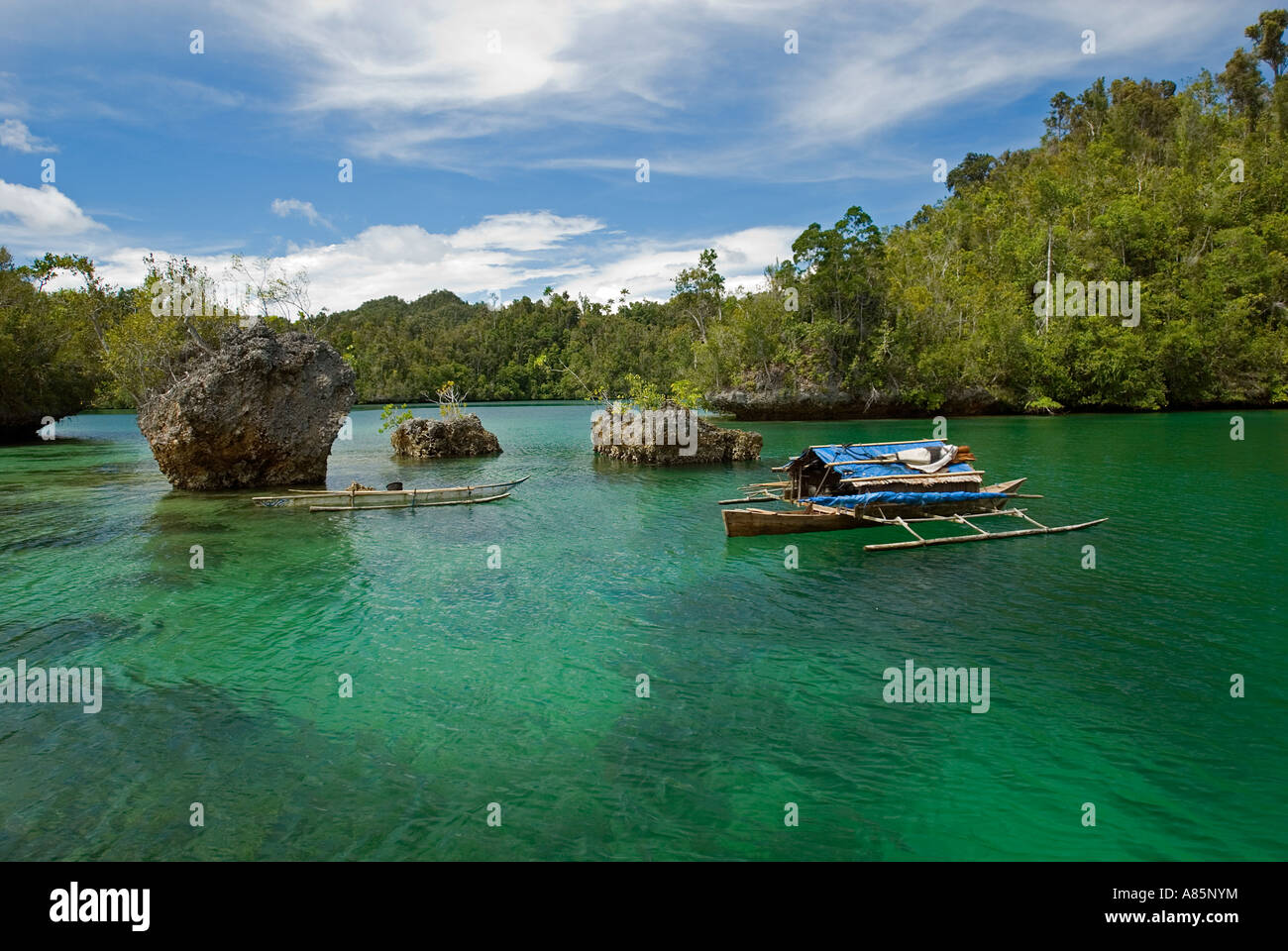 Lush green forest and limestone coastline of Gam Island, Raja Ampat Indonesia. Stock Photo