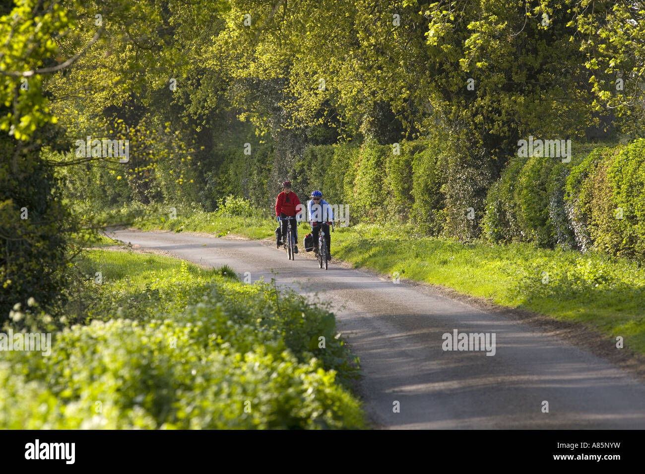 Cyclists on Country Lane Norfolk Stock Photo