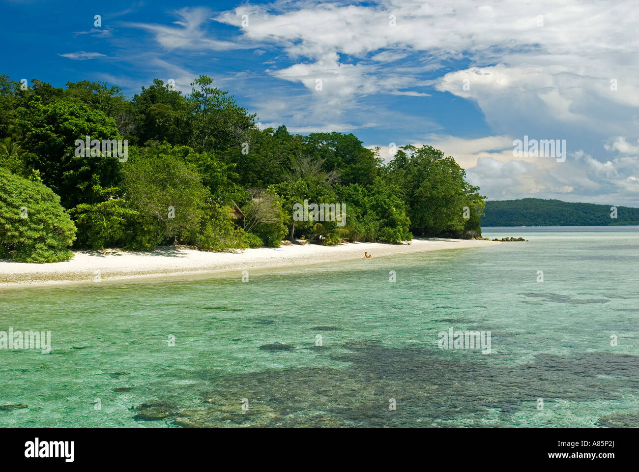 Scenic view of white sandy beach and lush green behind in Kri Island, Raja Ampat Indonesia. Stock Photo