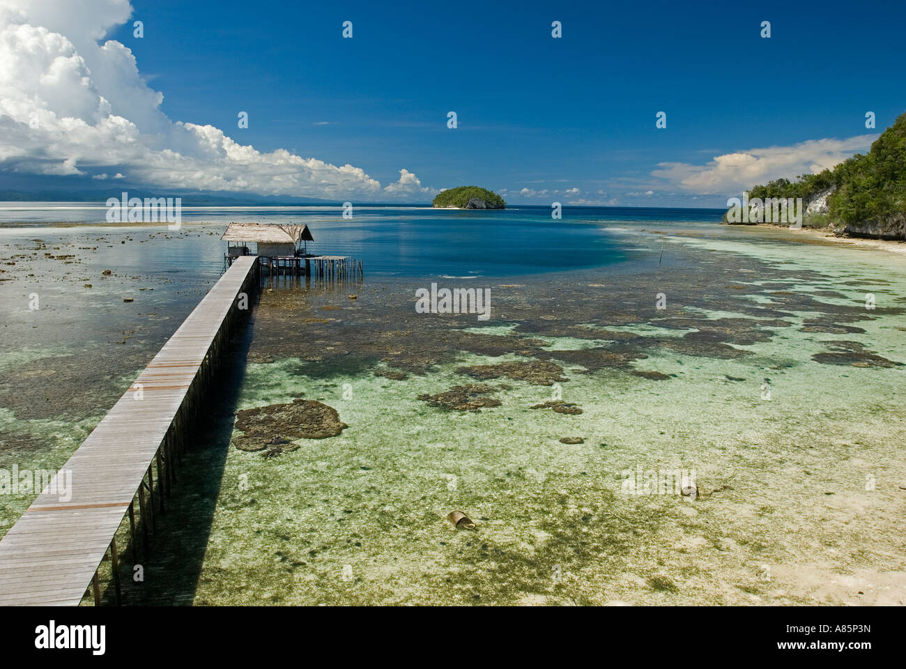 Scenic view of Kri Island Resort jetty and coral reefs, Raja Ampat, Indonesia. Stock Photo