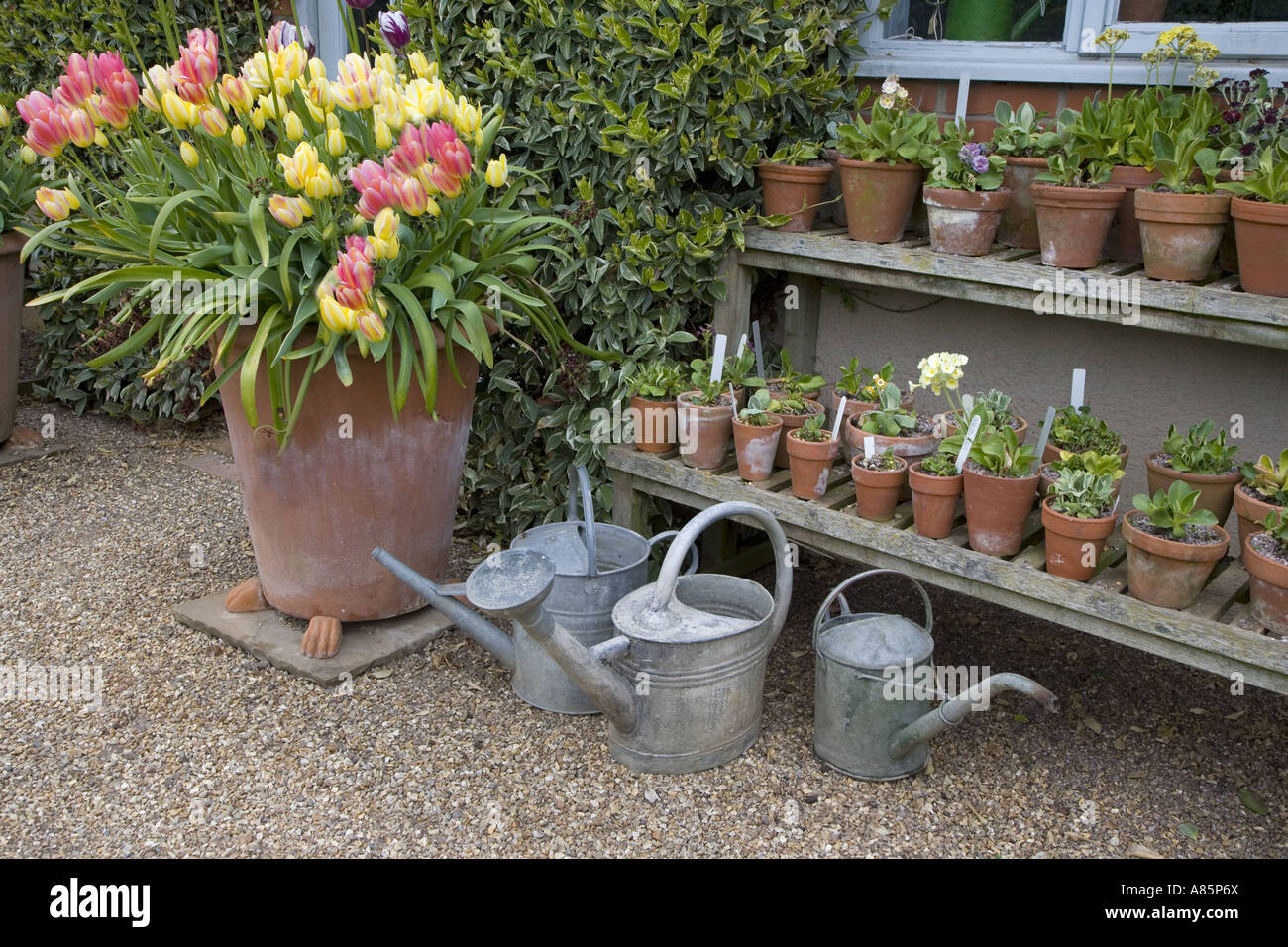 Garden Pots & Watering Cans Stock Photo Alamy