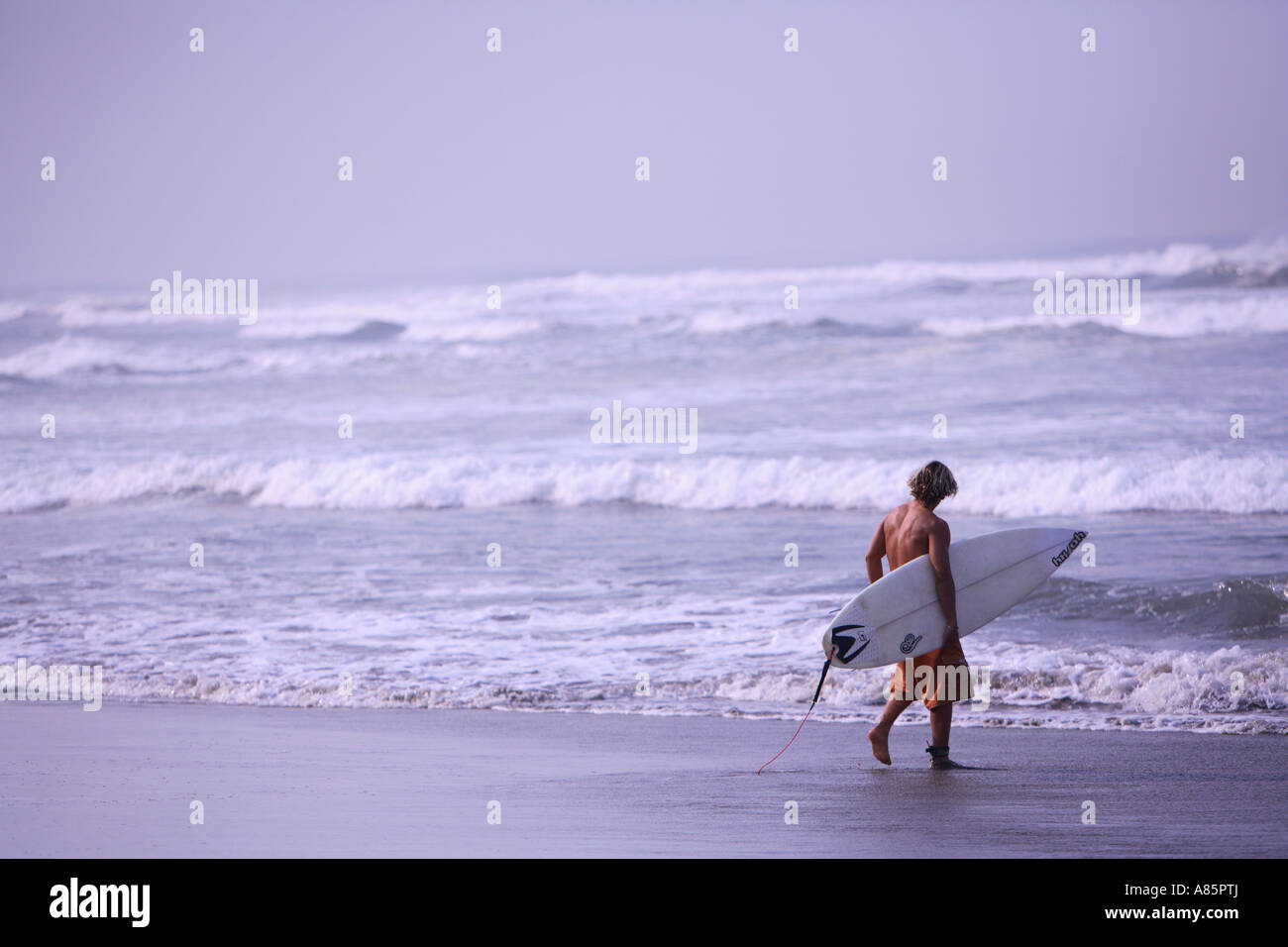 Surfer at the beach Stock Photo