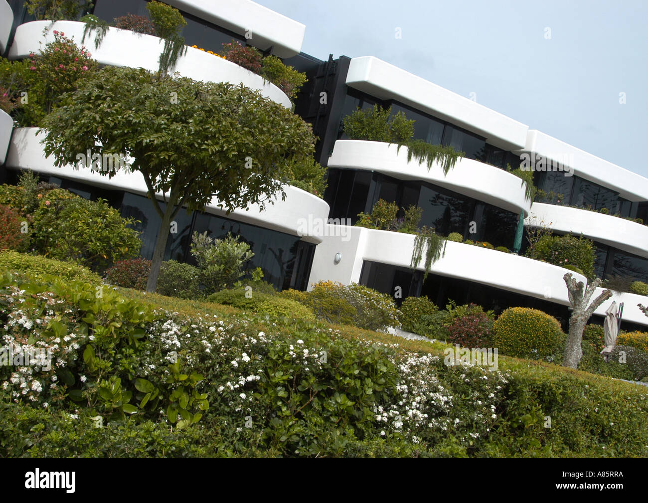 Modern housing in Mission Bay, Auckland, New Zealand Stock Photo Alamy
