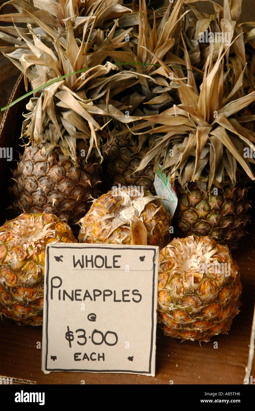 Pineapple display at roadside fruit stall in New Zealand Stock Photo