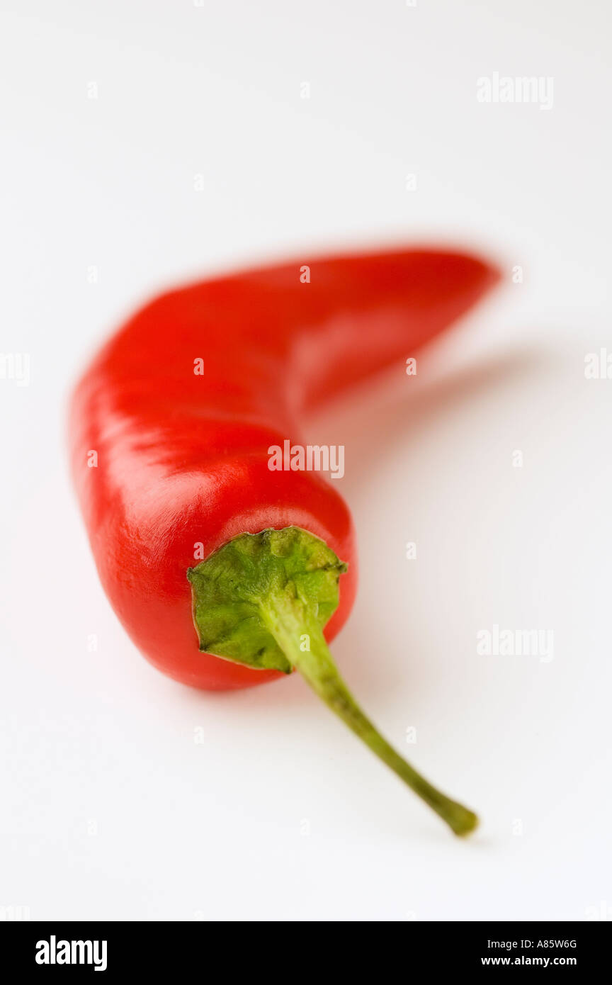 A Red Chilli Pepper on a white background Stock Photo