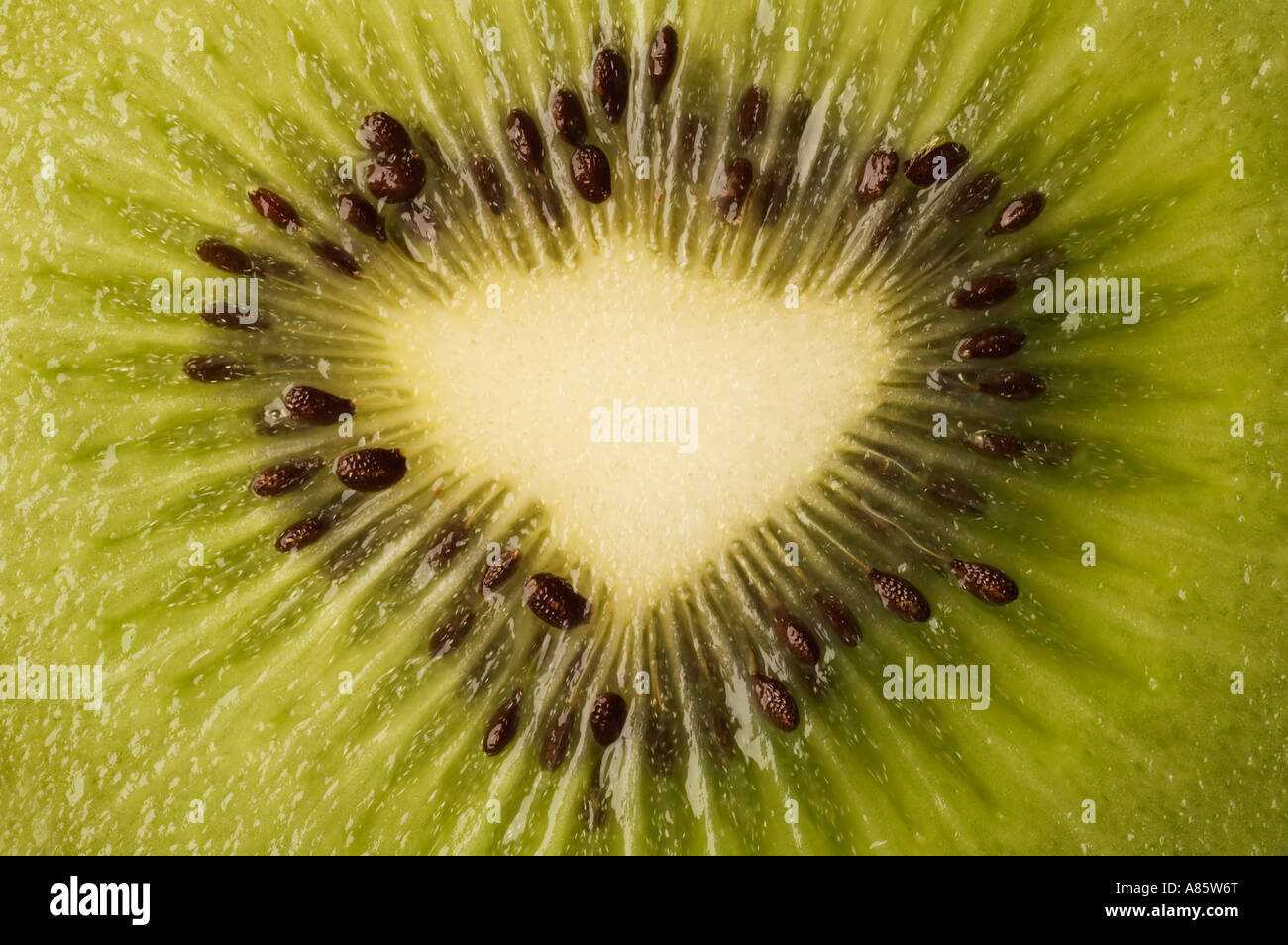 A close up of a slice of fresh Kiwi Fruit Stock Photo - Alamy