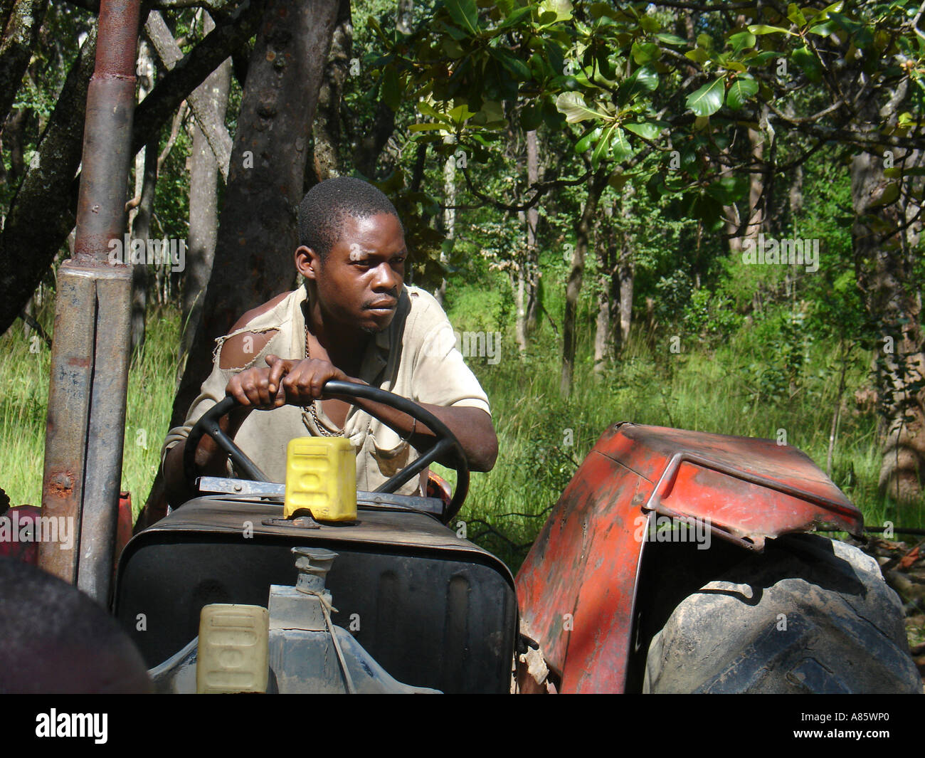 Environmental portrait of African black man with tractor wheel in rural forested area of Copperbelt province in Zambia, Southern Africa on sunny day Stock Photo