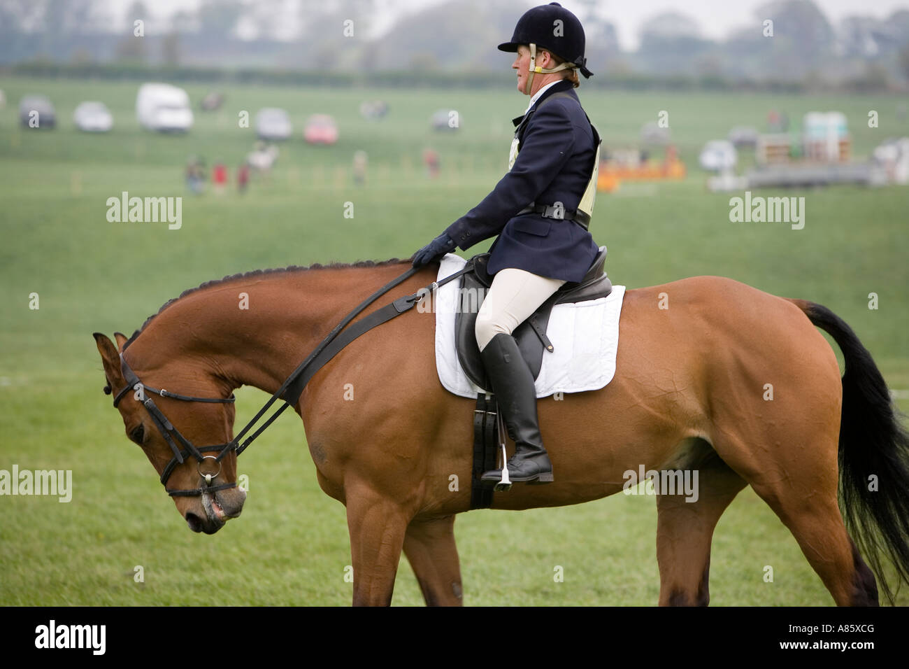 Horse and rider taking part in British Eventing Equestrian Event Stock ...