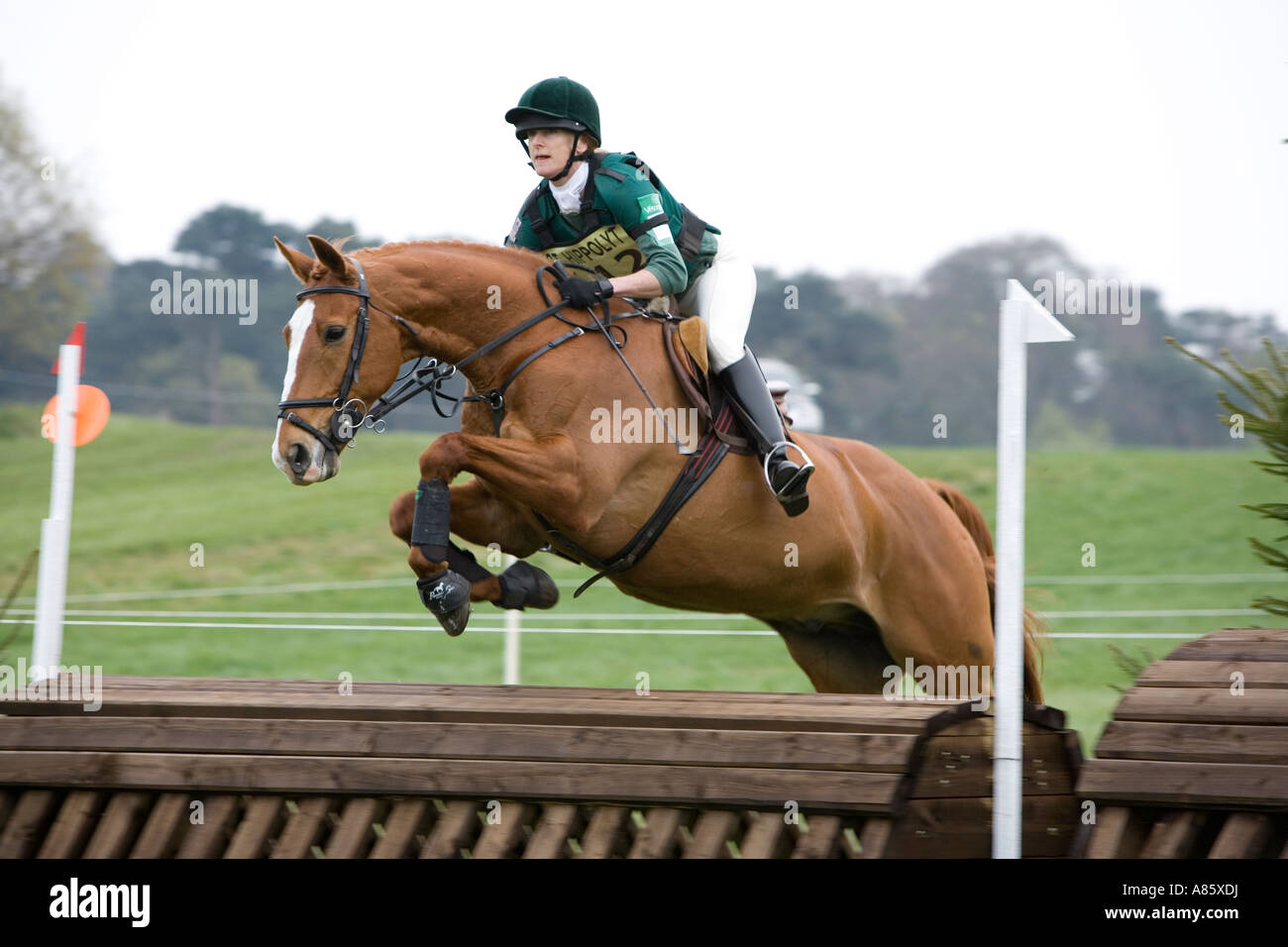 Horse and rider taking part in British Eventing Equestrian Event Stock ...