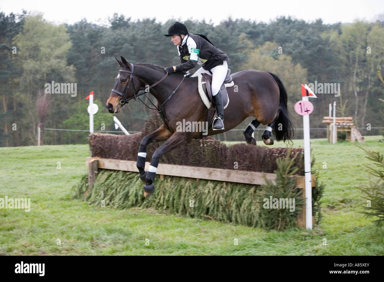 Horse and rider taking part in British Eventing Equestrian Event Stock ...