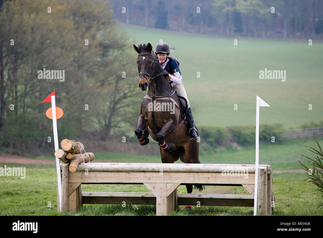 Horse and rider taking part in British Eventing Equestrian Event Stock ...