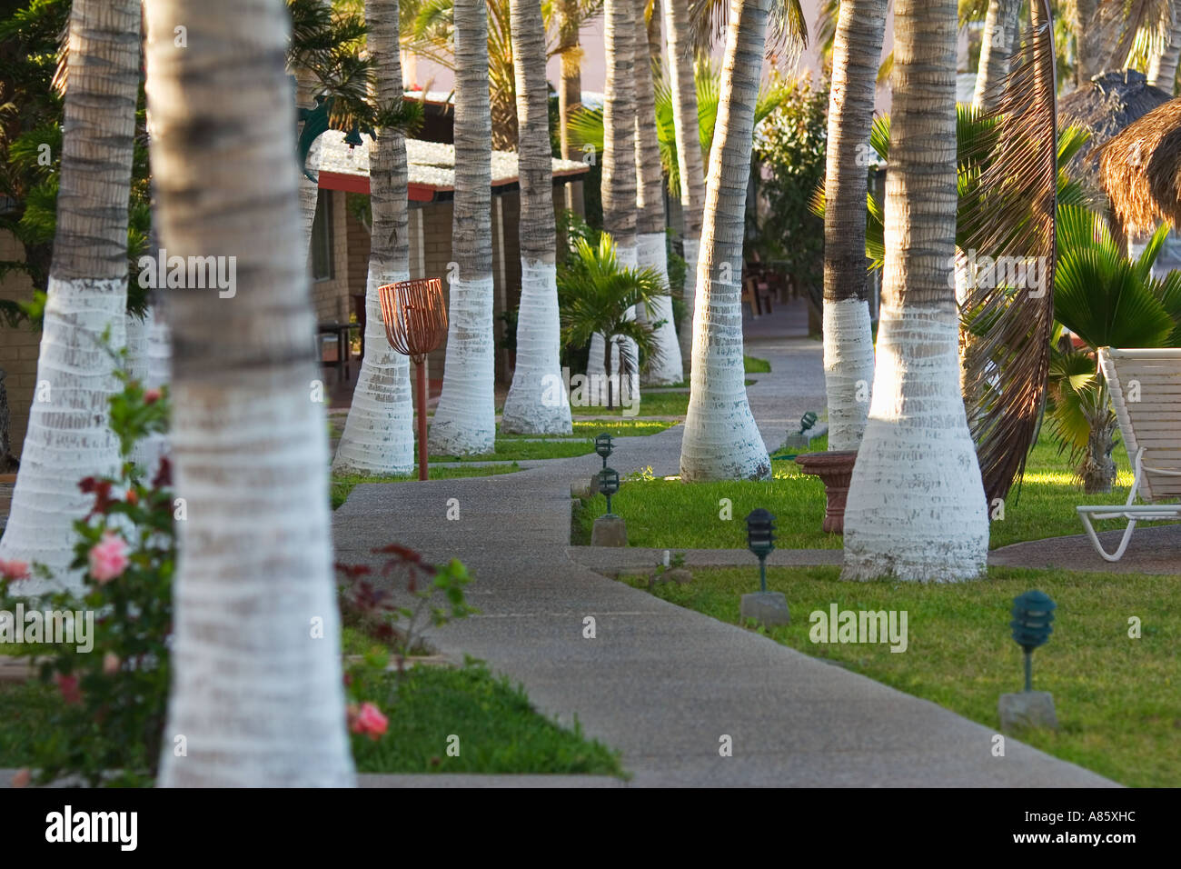 Punta Colorada East Cape Baja Mexico Stock Photo Alamy