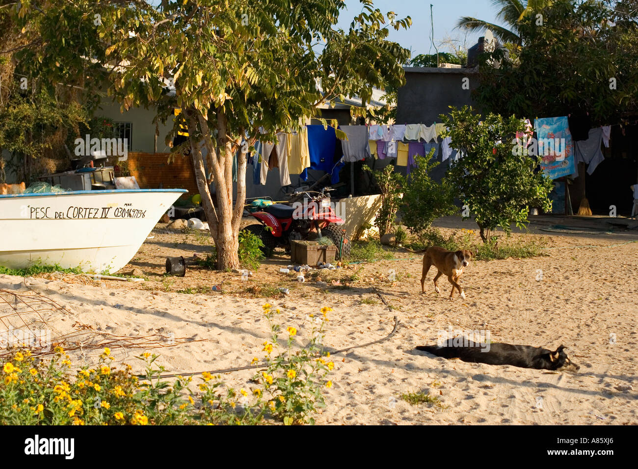 La Ribera East Cape Baja Mexico Stock Photo Alamy