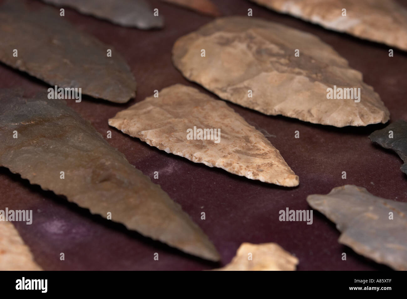 Native American spear tips Stock Photo Alamy