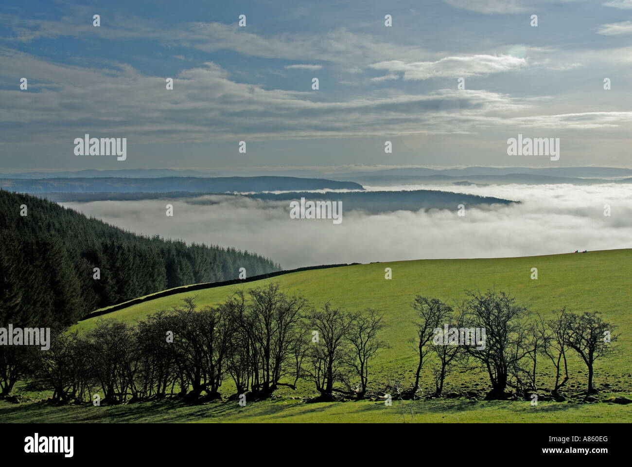 Cloud inversion, early morning in Spring. High Newton, Lake District ...