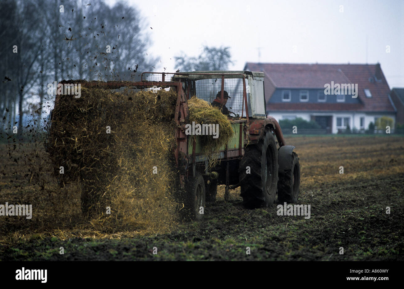 Farmer spreading muck on a farm in Strohen, Lower Saxony, Germany Stock