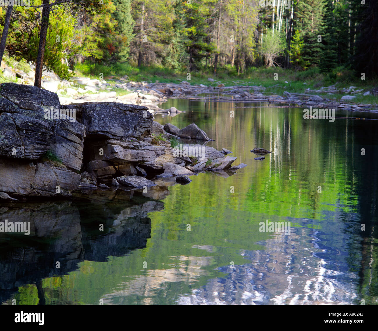 Horseshoe Lake Jasper National Park Alberta Canada Stock Photo Alamy