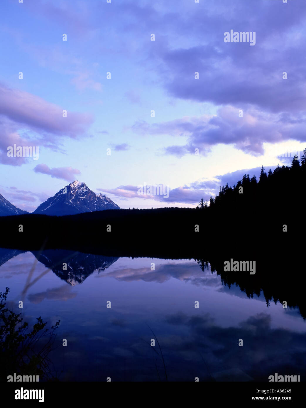 Leach Lake Jasper National Park Alberta Canada Stock Photo Alamy