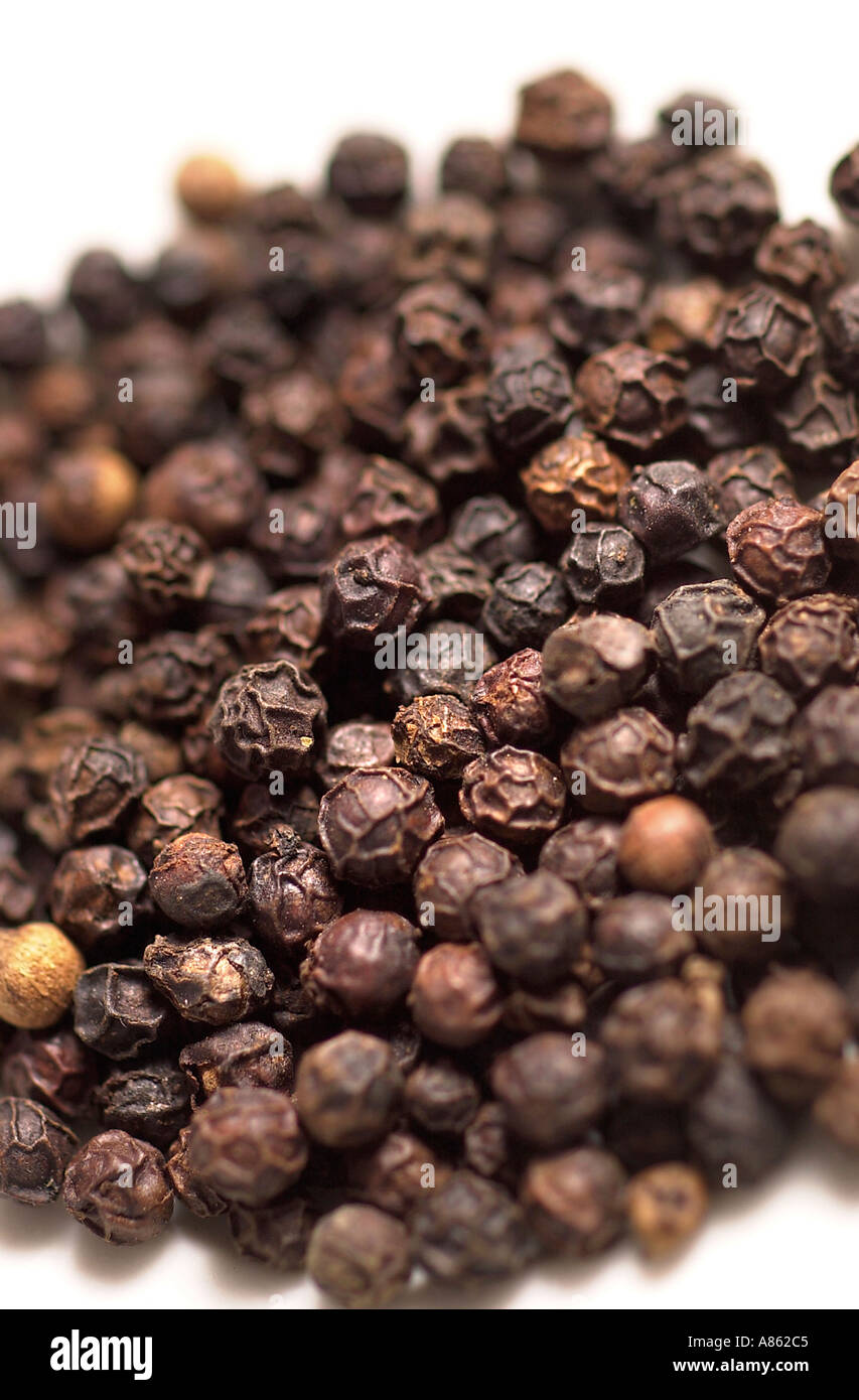 Black peppercorn Stock Photo Alamy