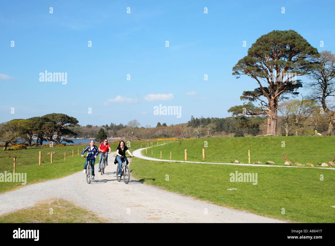 People Cycling At Killarney National Park In County Kerry In The West 