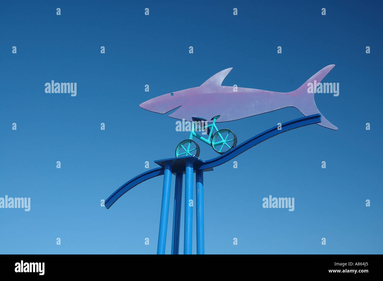 Fish riding a bicycle hi-res stock photography and images - Alamy