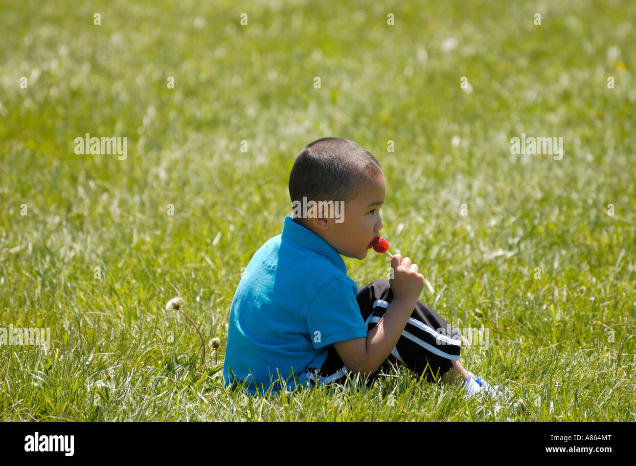 International Kite and Culture Festival in Kentucky USA